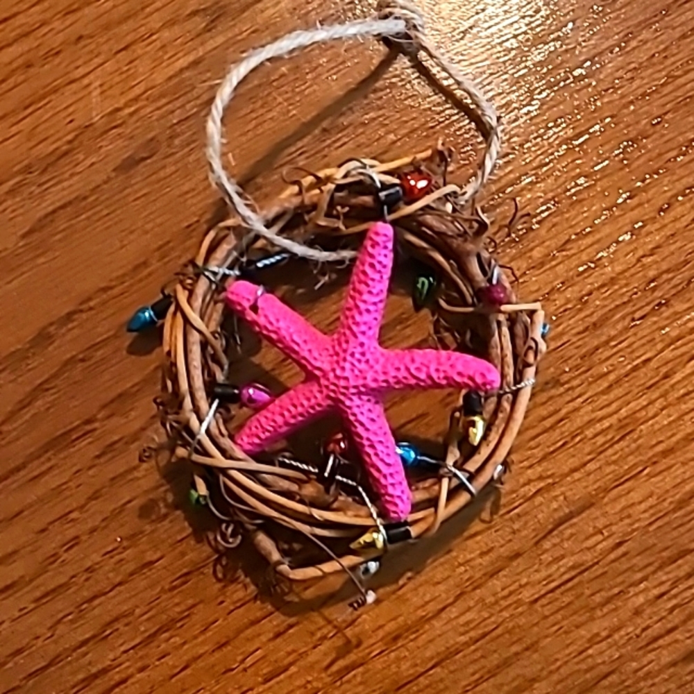 Beach starfish ornament homemade
